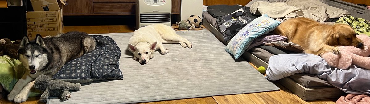 いざや tweet media