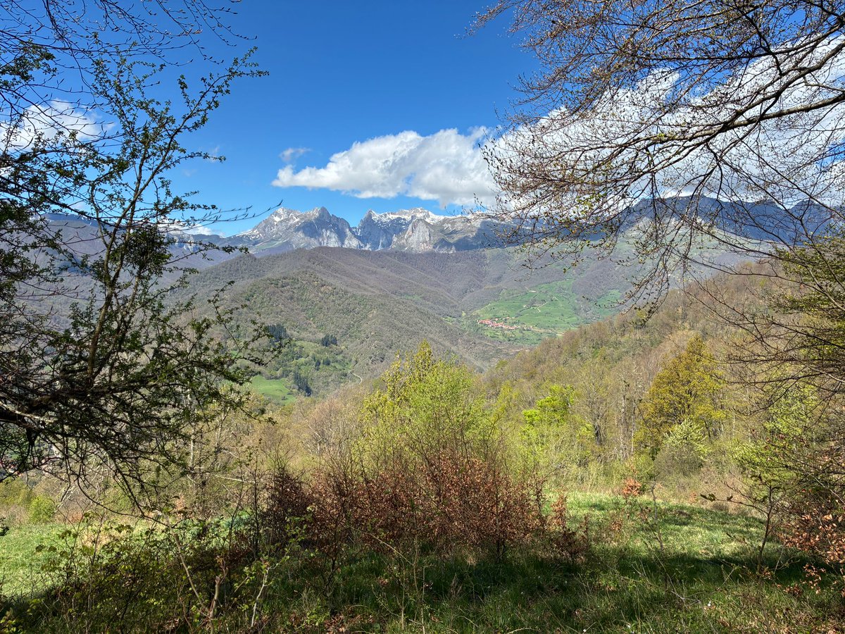 Cada día más espectacular la primavera en Espinama.