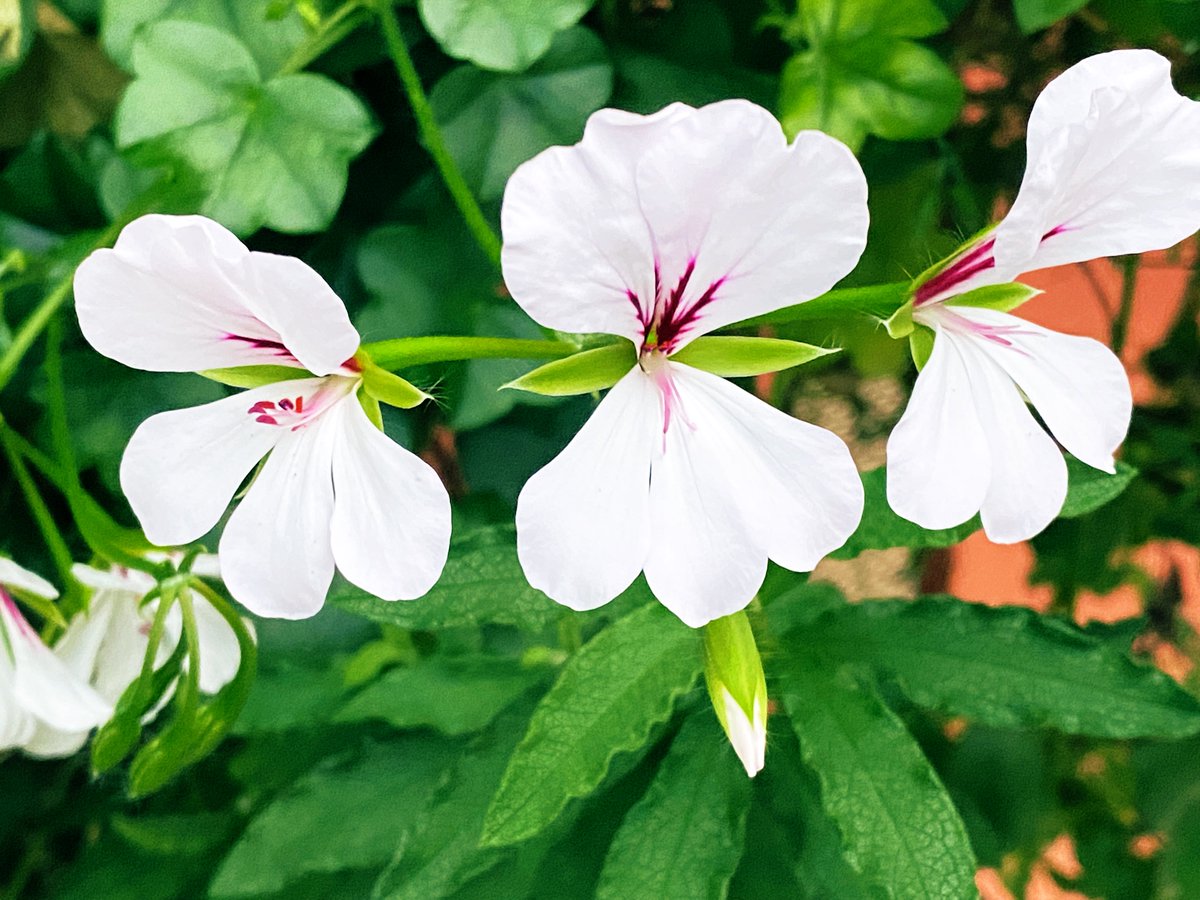 ๐ ๐Dharsh๐ ๐ ๐งโ๏ธ tweet media