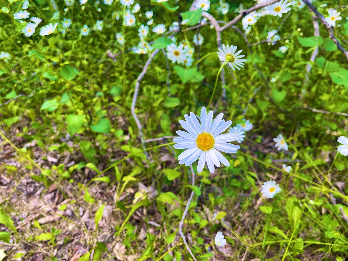 ๐ ๐Dharsh๐ ๐ ๐งโ๏ธ tweet media