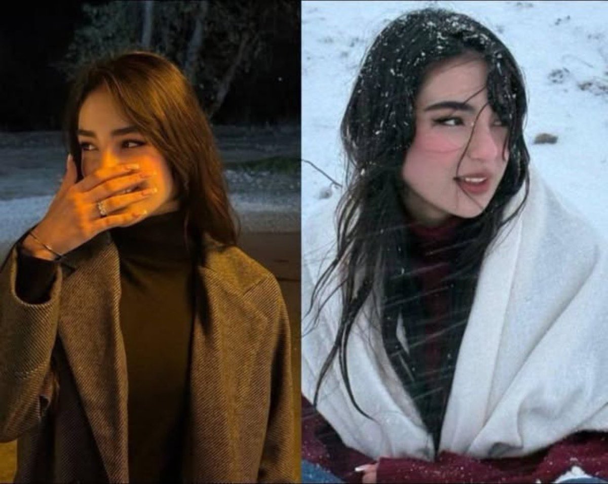 菲菲4.0 tweet media