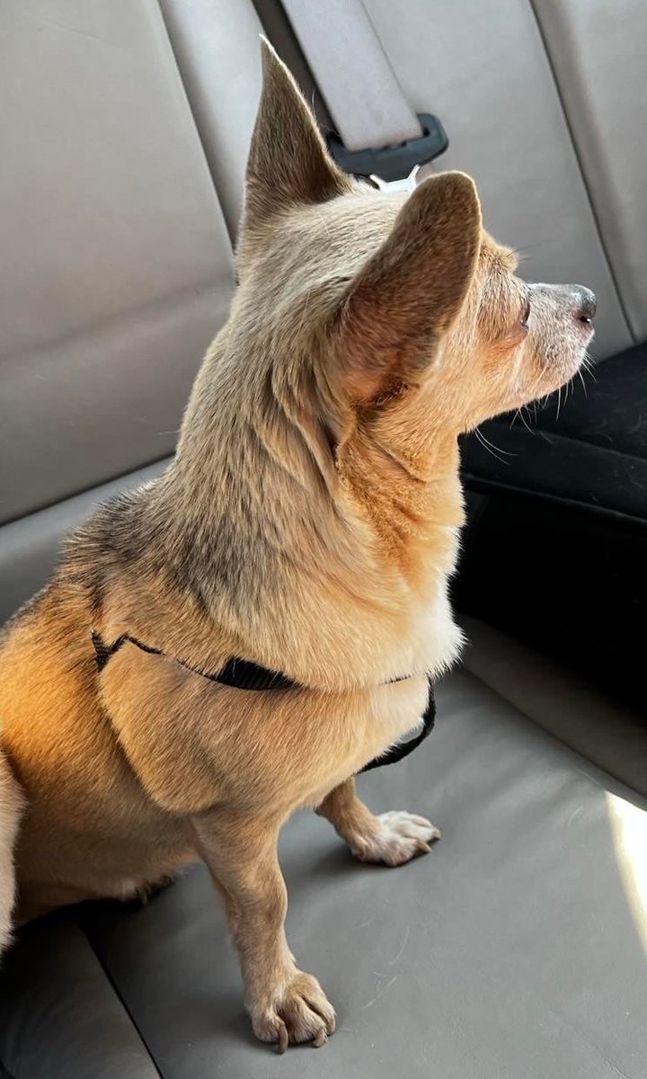 Adam Paweł Pałka tweet media