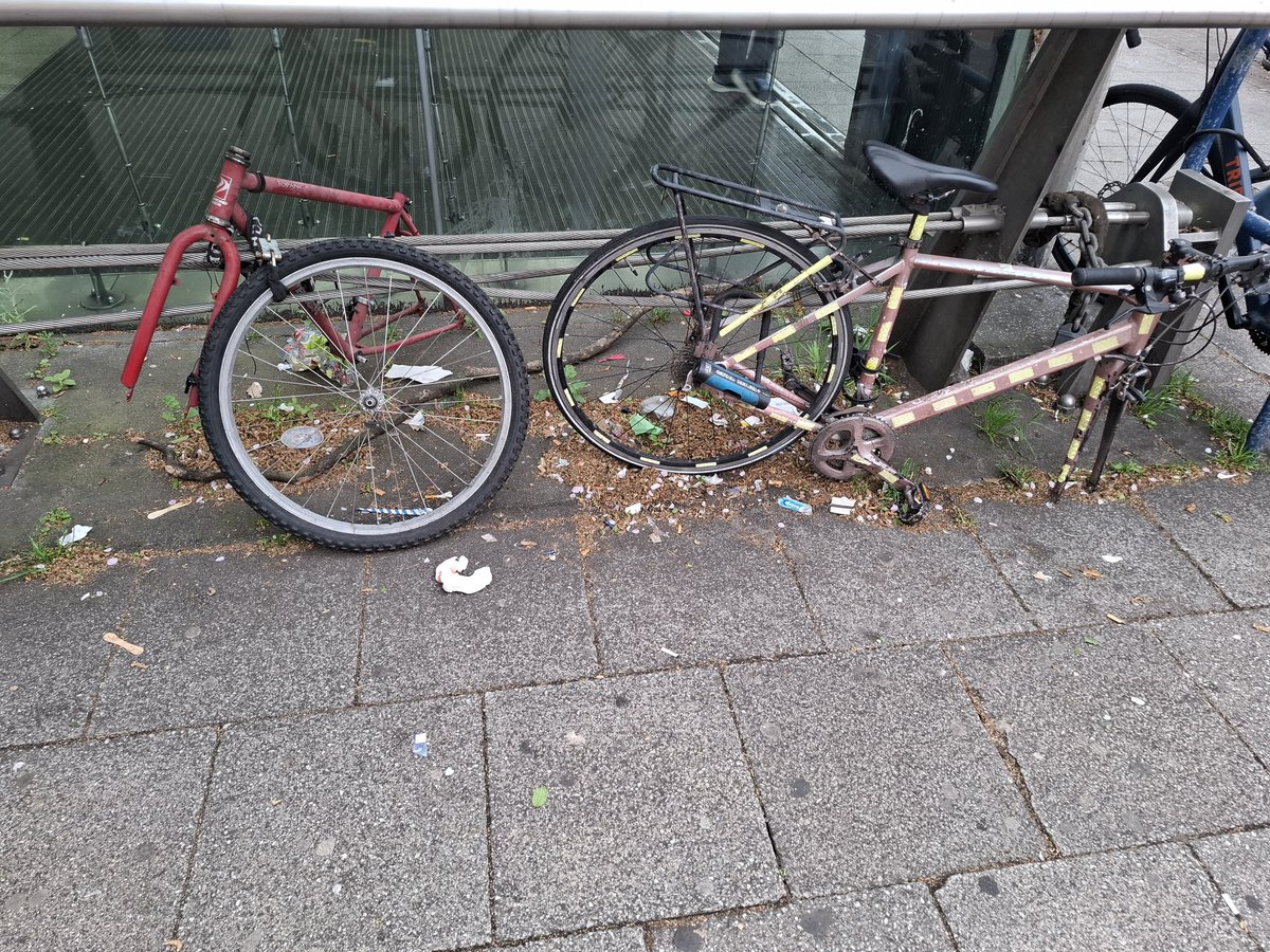 Melina Kakoulidis tweet media