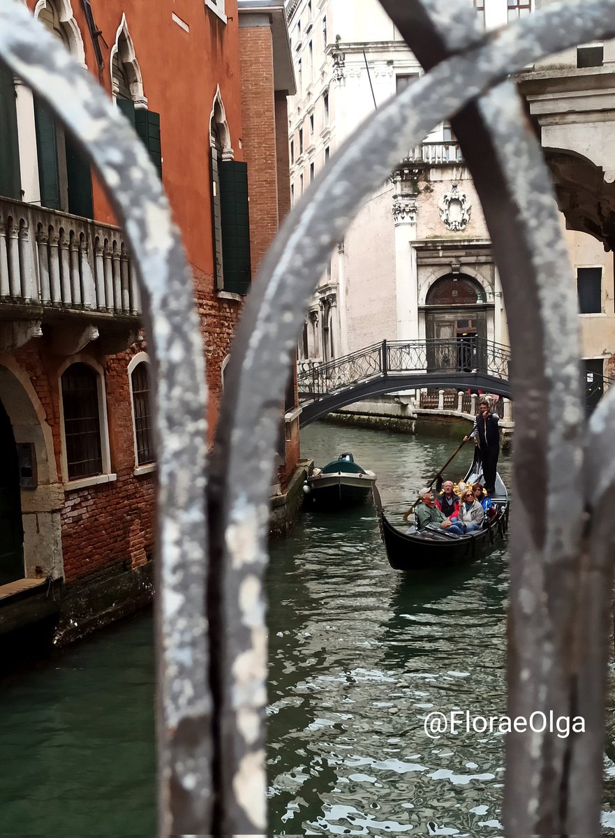 FloraeOlga's tweet image. La 𝘭𝘦𝘨𝘨𝘦𝘳𝘦𝘻𝘻𝘢 dei ponti con le sponde in ferro... 
#Venezia