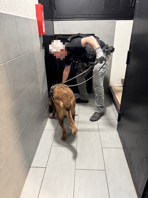 PoliceNat44's tweet image. #ContreLeNarcotrafic | Opérations renforcées dans le quartier de la Bottière à #Nantes . Nos policiers, soutenus par la #CRS, l’unité canine anti-stupéfiants et la police municipale, multiplient les contrôles et investissent les immeubles pour démanteler les points de deal.