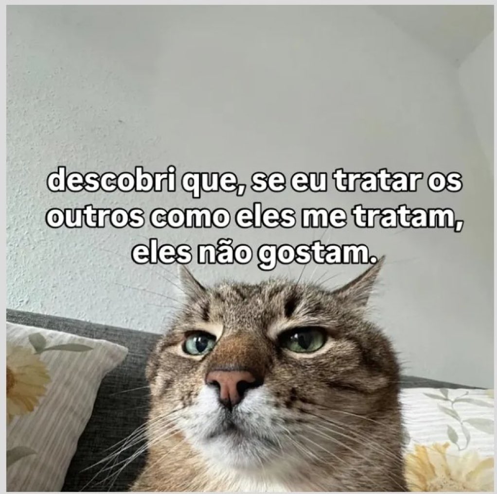 Mineira Xandex 🫡 tweet media