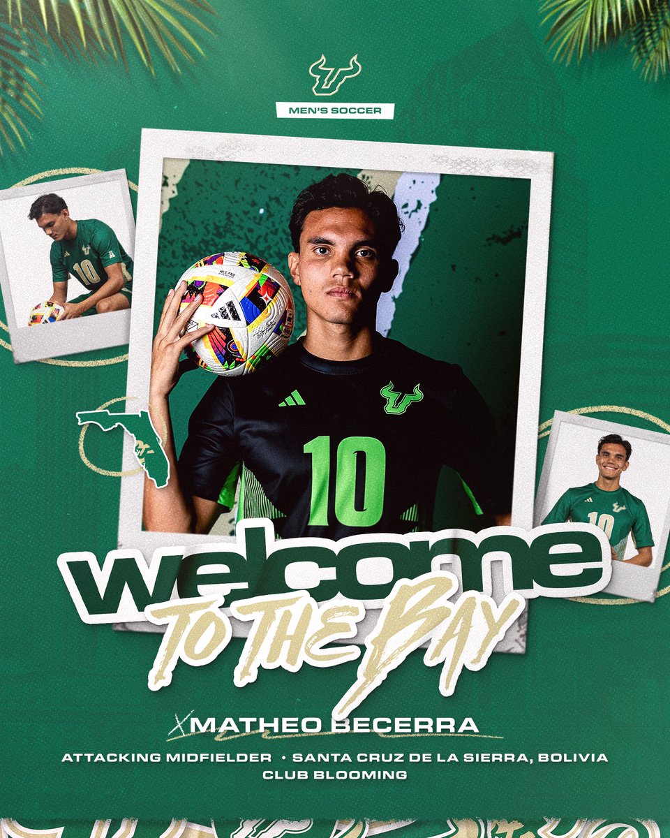 USFMSOC's tweet photo. Welcome to the Bay, Matheo 🌴 https://t.co/IGwUUAMLk8