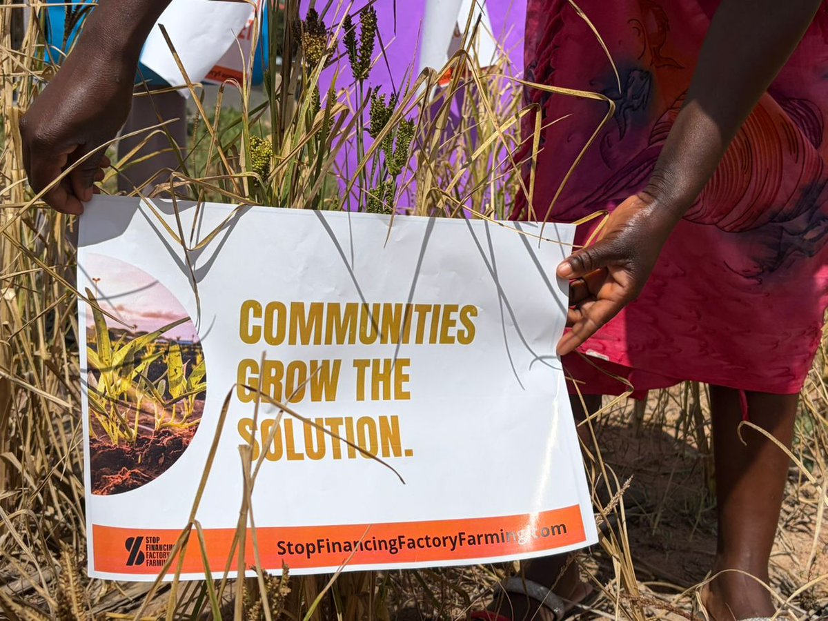 Food Justice Network tweet media