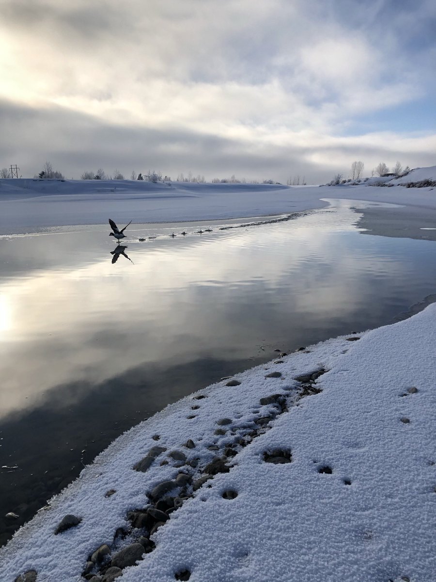 Madison Moore tweet media