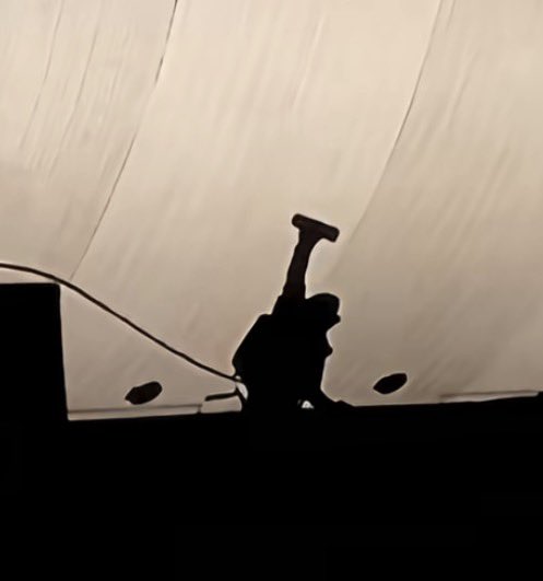 𑣲Romée tweet media