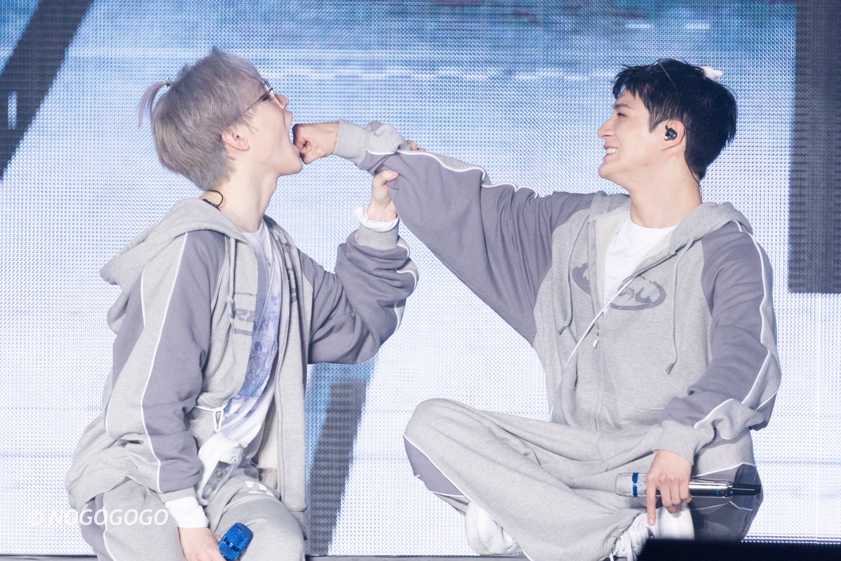 NOGOGOGO tweet media