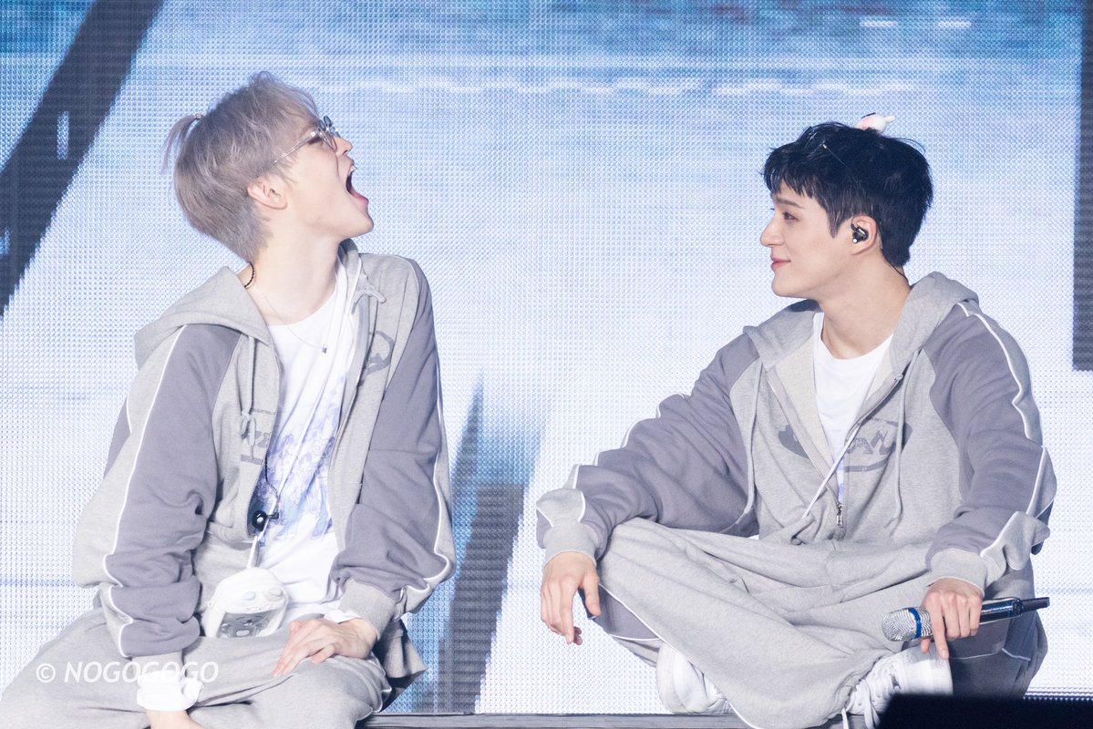 NOGOGOGO tweet media