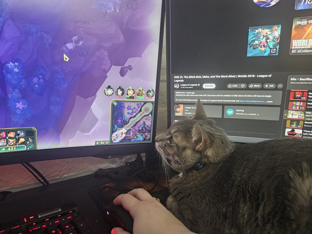 Kelsey tweet media