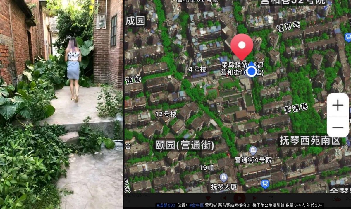 小叮当生活旅拍记 tweet media