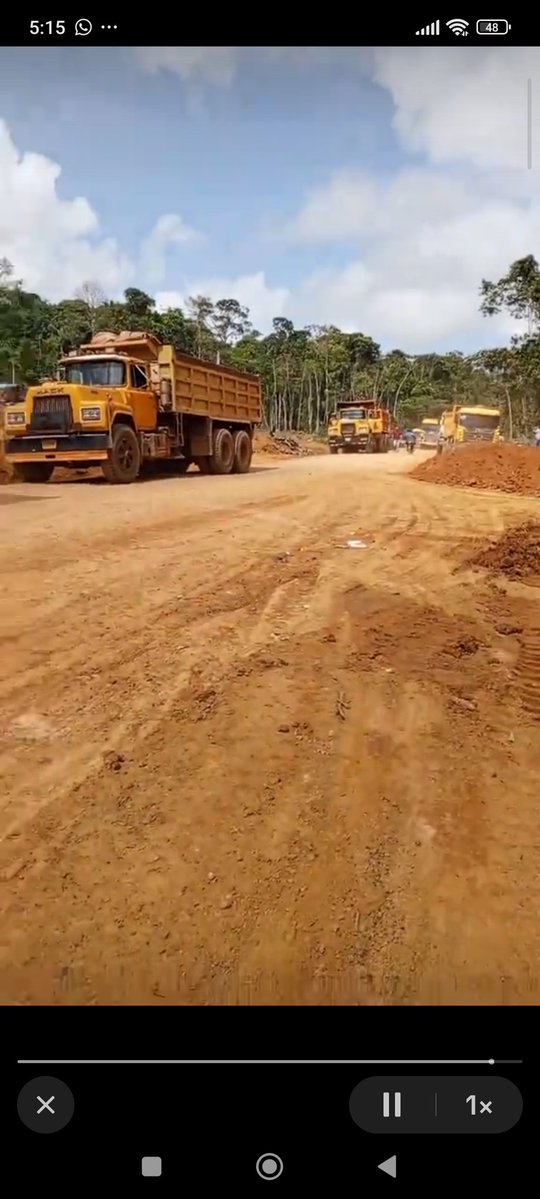 Fritz Sanchez tweet media