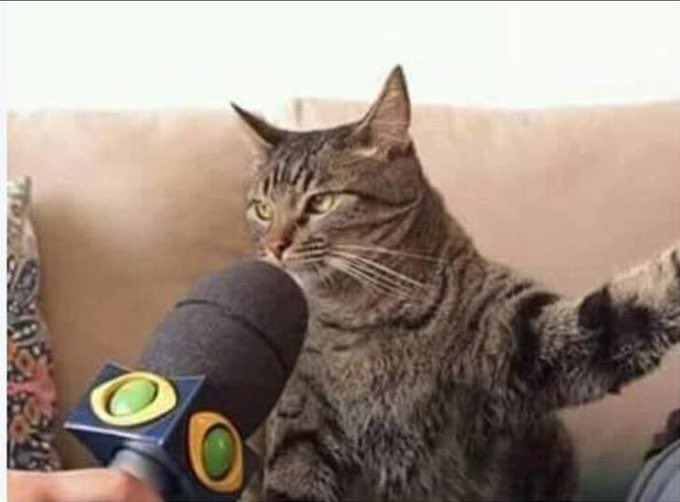 алиняш tweet media