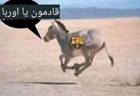 Yassine Bad tweet media