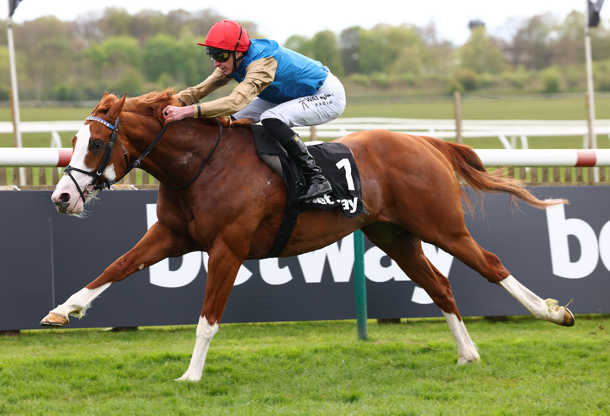 Racing TV tweet media