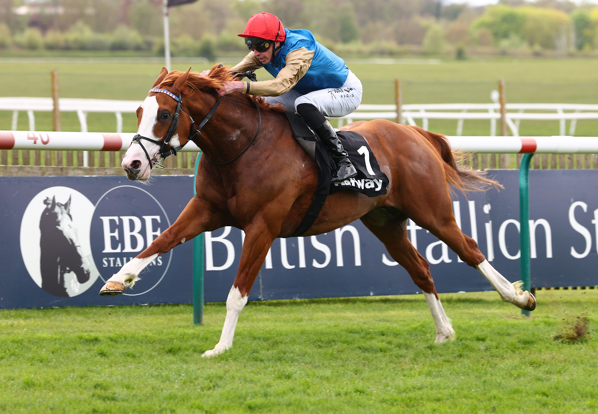 Racing TV tweet media