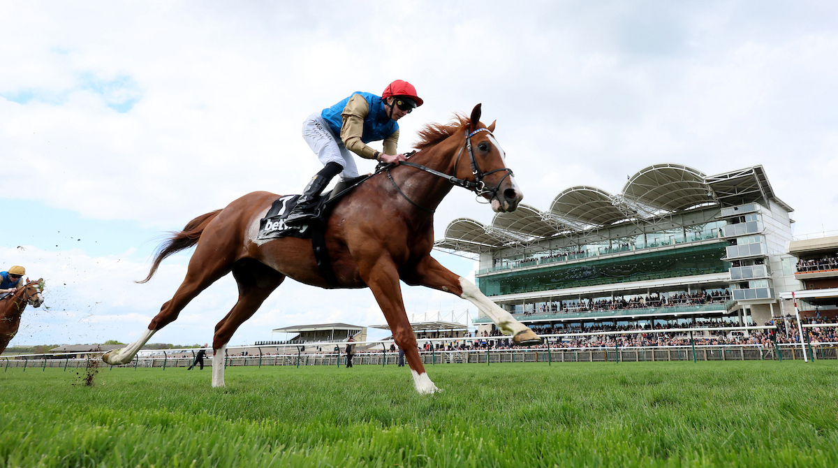 Racing TV tweet media