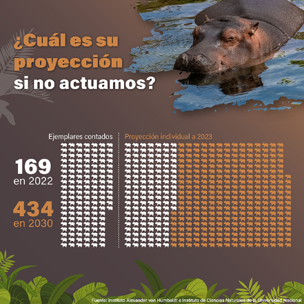 Natalia Calao tweet media