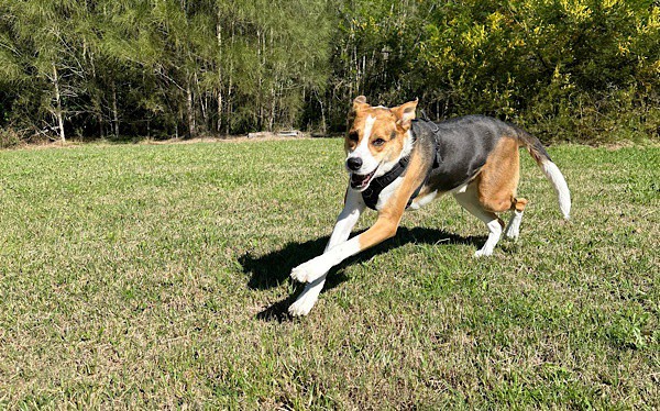 storytllrjewels's tweet image. That is honourable and everything but it does not translate unless you do it for yourself first.

Read more 👉 lttr.ai/AqJ41

#GoodWork #GoodPlace #storytellerjewels