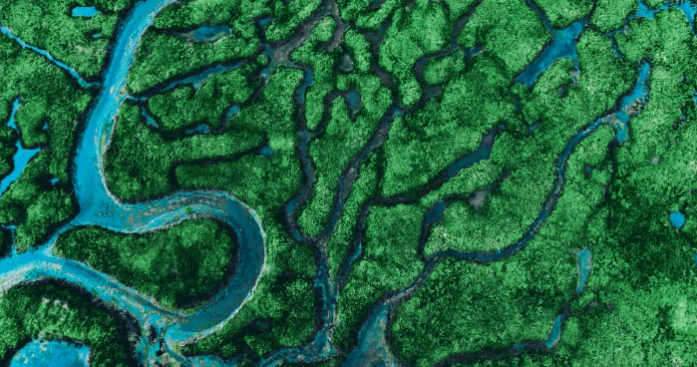 Nature Methods tweet media