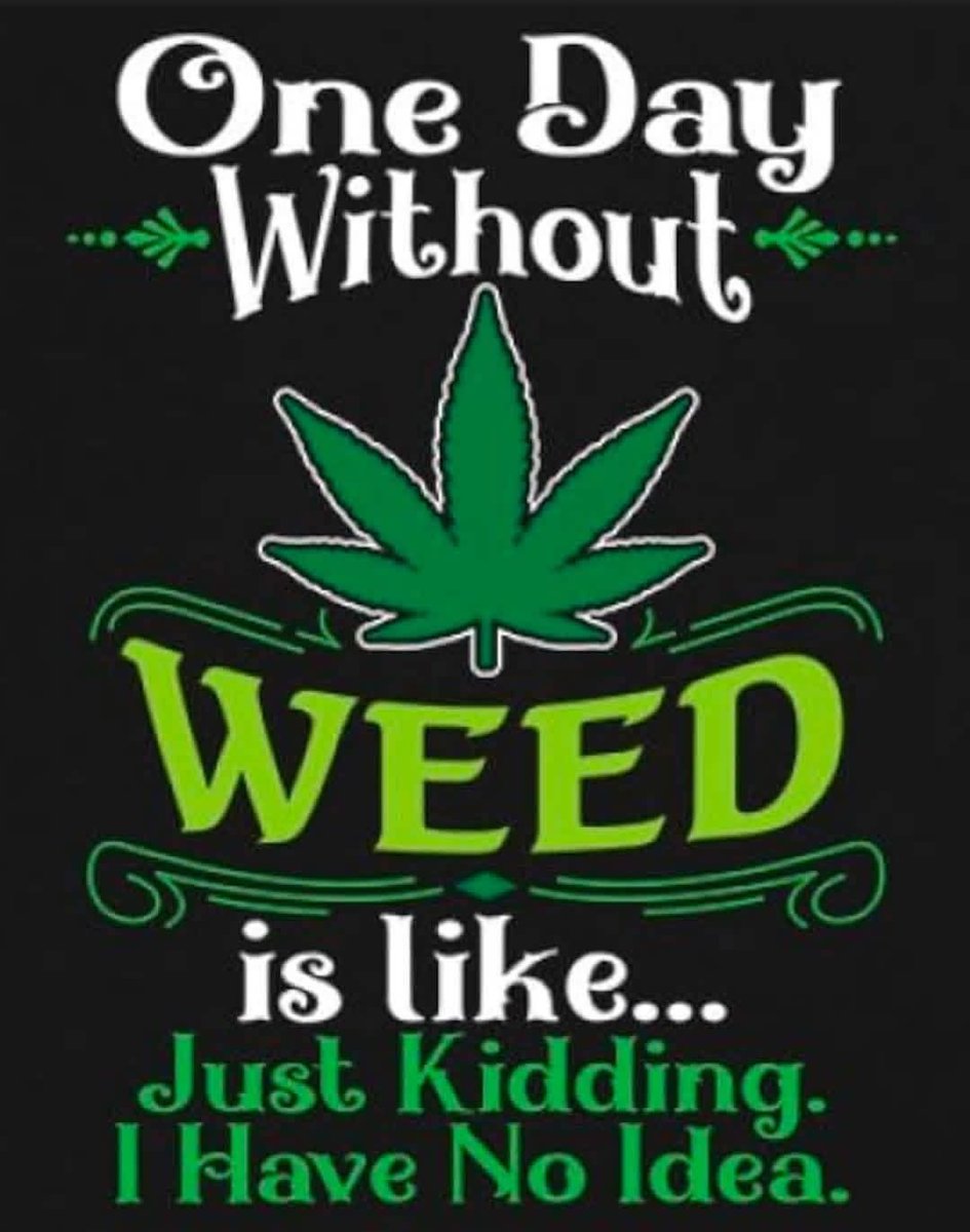 Tracy Goudreau tweet media