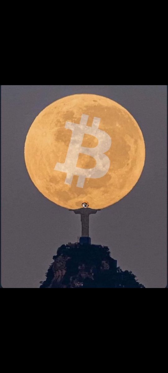 SchlandDaily's tweet photo. @coinbase $DOG https://t.co/jgR8AER2ds