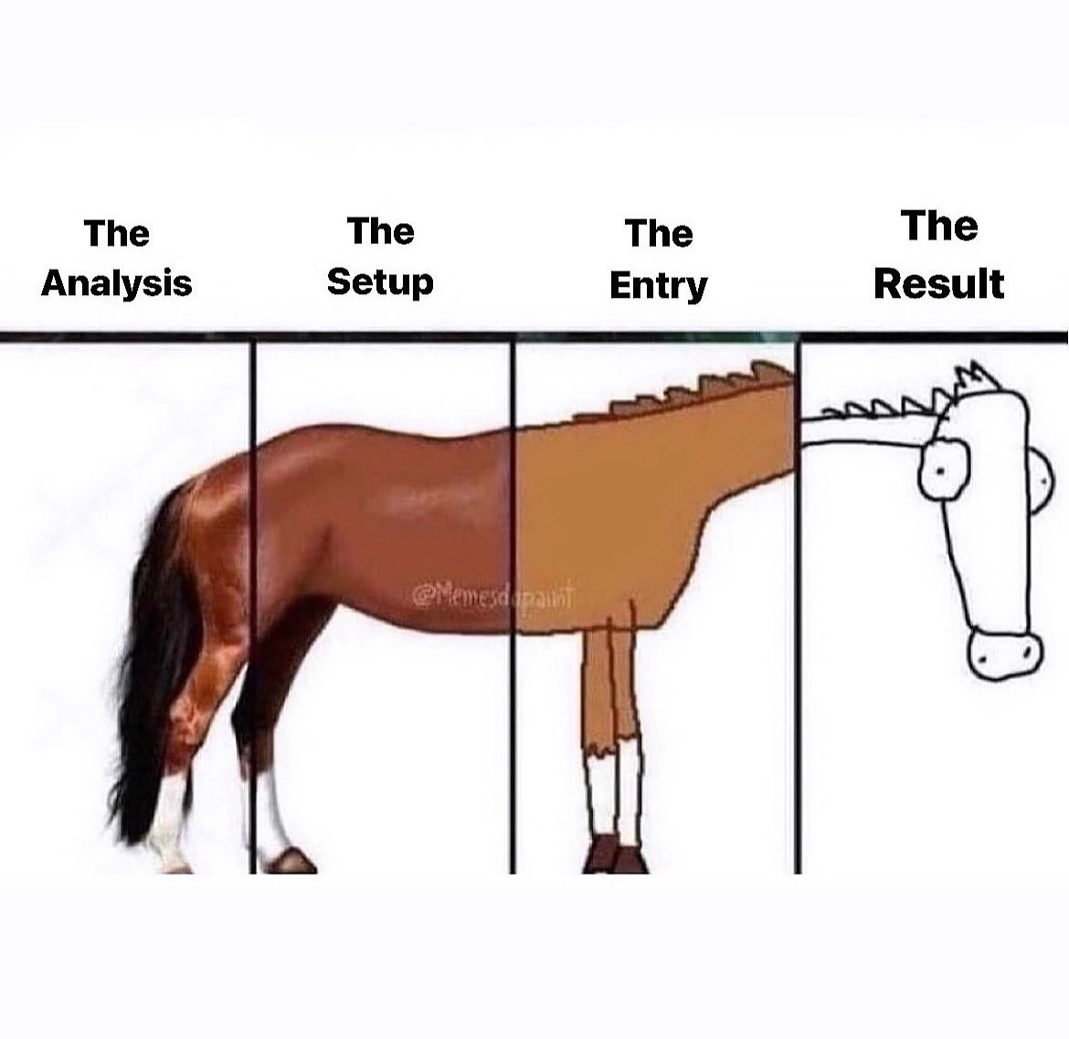 Preshbae_forex tweet media