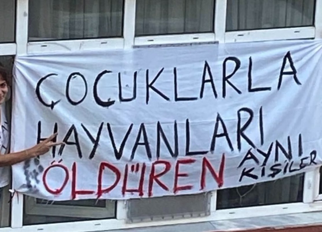 SiNEM GÜÇLÜ tweet media