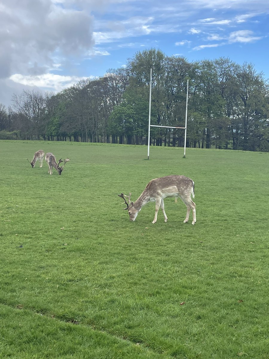 Elaine N tweet media