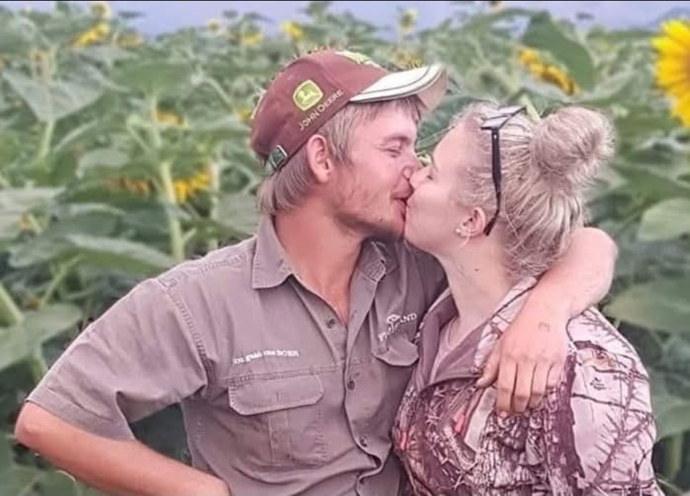 Alice VL tweet media