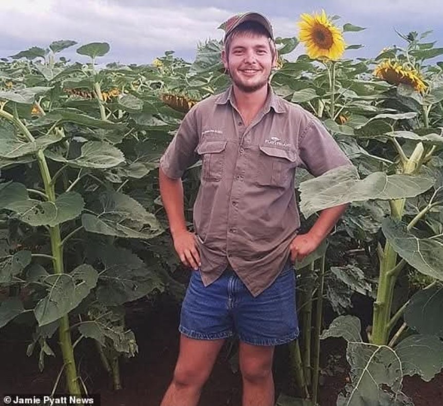 Alice VL tweet media