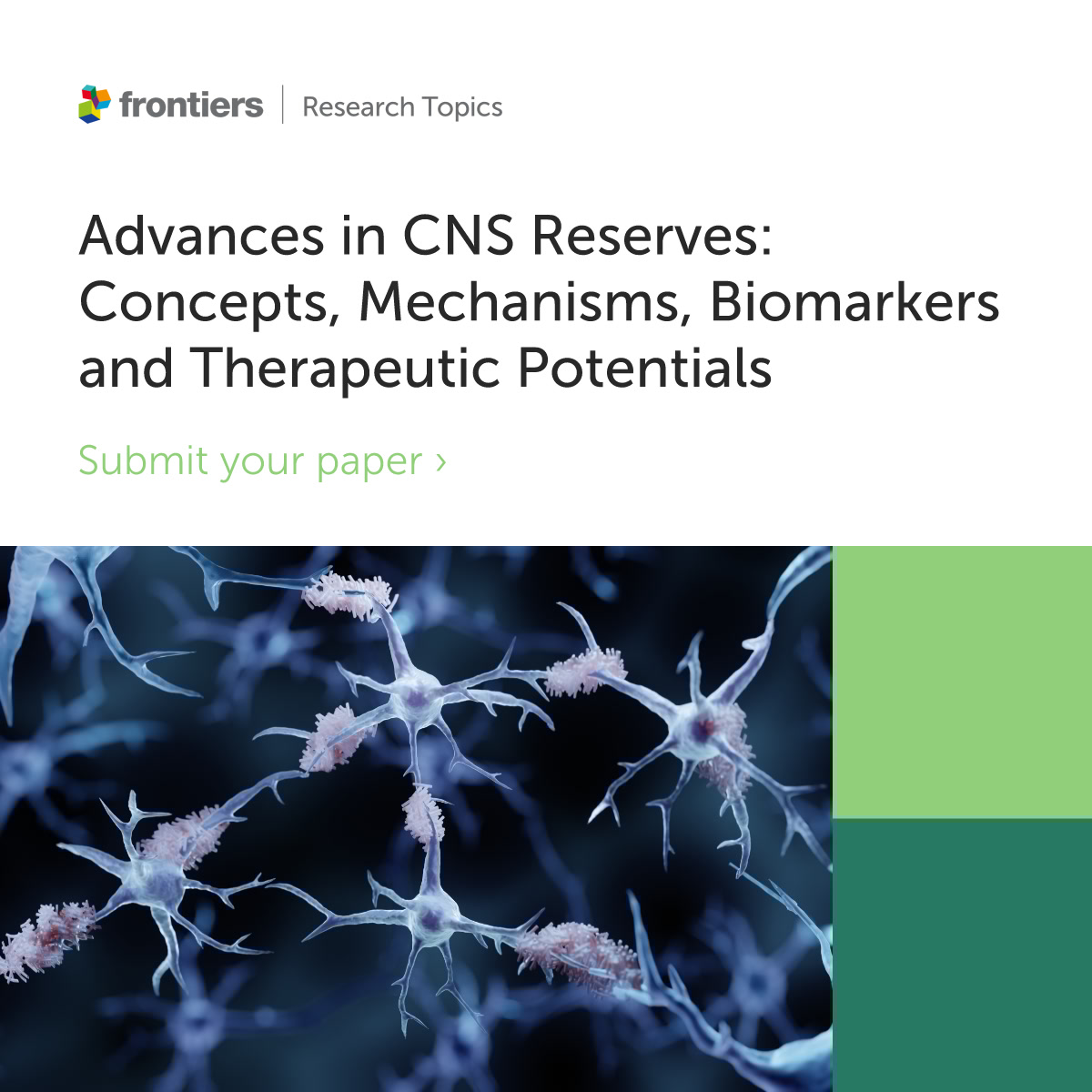 FrontNeurosci's tweet image. Explore Frontiers in Cellular Neuroscience’s Research Topic “Advances in CNS Reserves”, led by Mario Manto, Shinji Kakei, Hirokazu Tanaka &amp;amp; Hiroshi Mitoma.

🧠Share work on neuroplasticity, compensation &amp;amp; repair.

📅Submit by 30 Sep 2026 
➡️fro.ntiers.in/zHrN9GSsm2b

#neuroscience