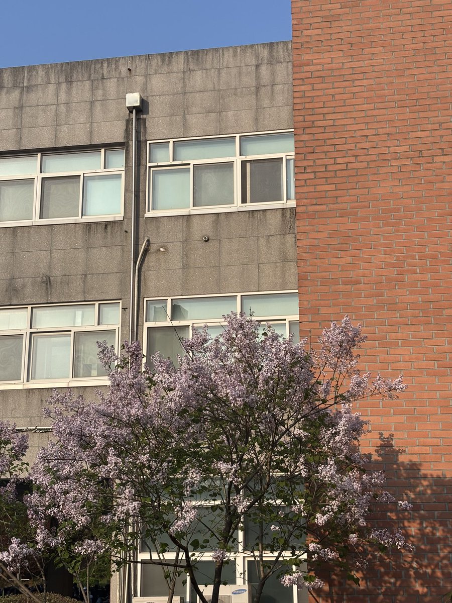 러브짱W tweet media