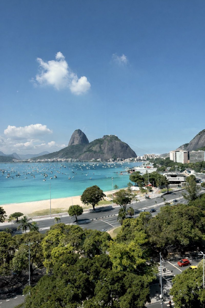 Emerson Castro tweet media