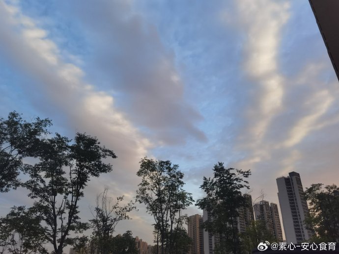 Lauren Manzi tweet media