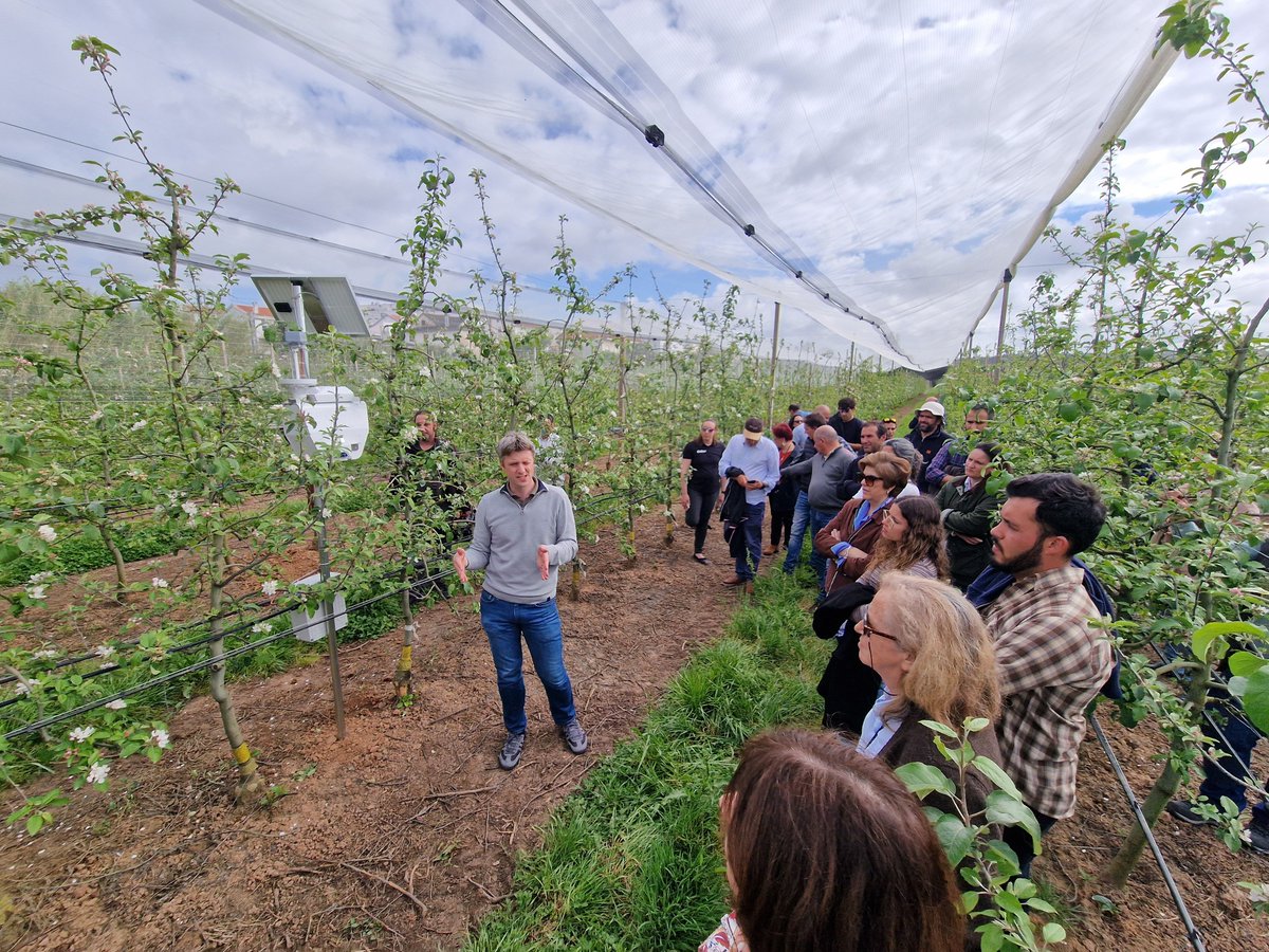 Trapview_'s tweet photo. This week, our team is in Portugal training 50+ new #Trapview users.

From proper trap installation to confident Trapview app use!

What is more, we remain available for support throughout the season.

#PestMonitoring #IPM #PrecisionFarming #SmartAgriculture #Trapview https://t.co/w0RXsDyDNM