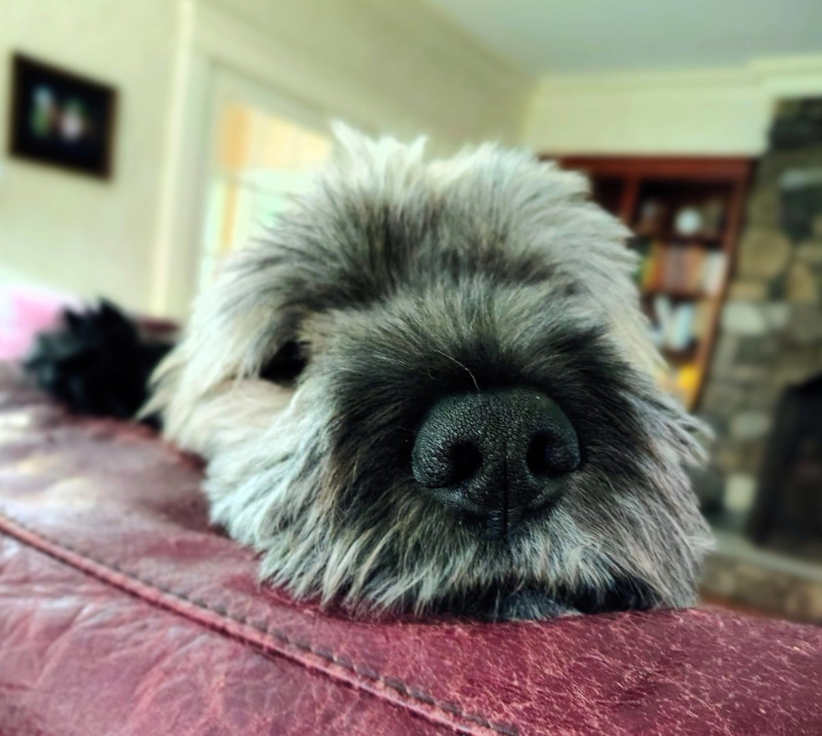 Mom wants to take a turn at advice.
(since I don’t worry about things like taxes)
Anyway,
she doesn’t have advice,
just a question:
What if a law benefits you personally,
but isn’t fair to someone else?
Any suggestions on where she might donate her tax refund?