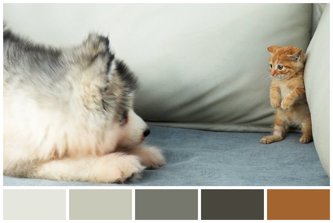 Thumbnail Colors tweet media