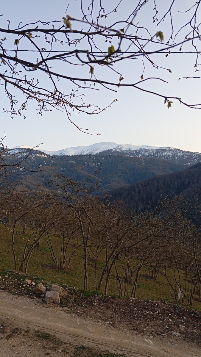 Sabri Ünal tweet media