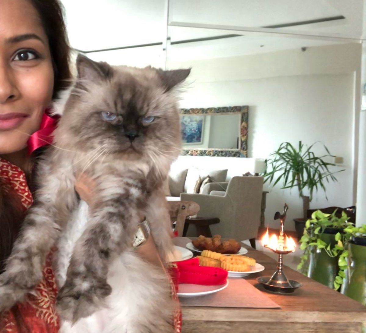 aruni_t's tweet image. Missing my grumpy අවුරුදු කුමාරයා full of attitude today and every single day. 😢
#LifeAfterHappy #PetLoss #Grief