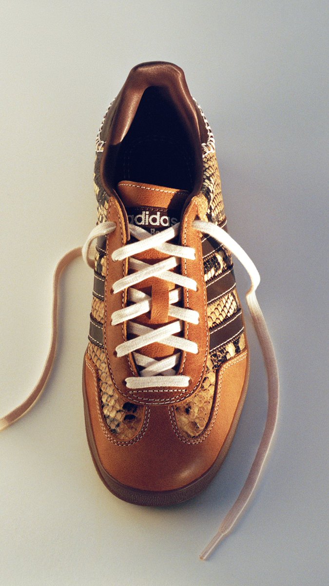 UNDEFEATED tweet media