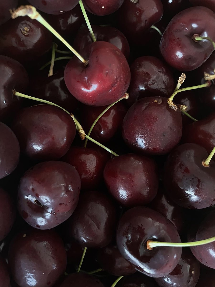 shiv 🍒 tweet media