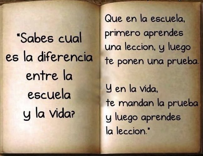 raphaelvasqu's tweet photo. https://t.co/AEoC264fi7