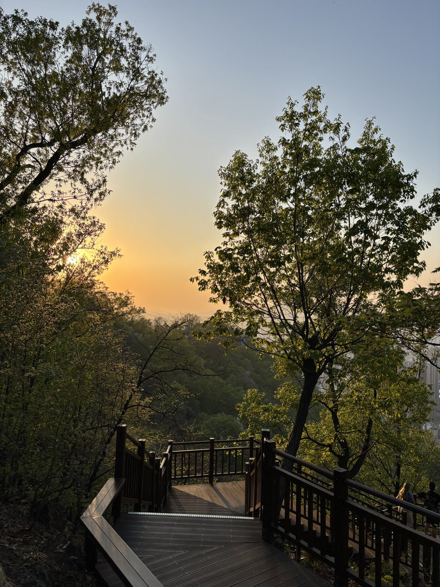 moon baby tweet media