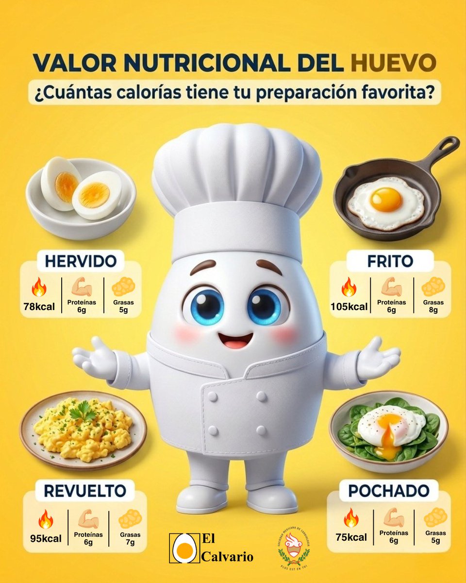 huevoelcalvario's tweet image. Pequeño en forma, gigante en actitud.

#egg #huevo #proteina #viral #hervido #frito #ActitudGigante #EnergíaDiaria #PoderNatural #DesayunoTop #SimplePeroPro #HuevosElCalvario #fyp