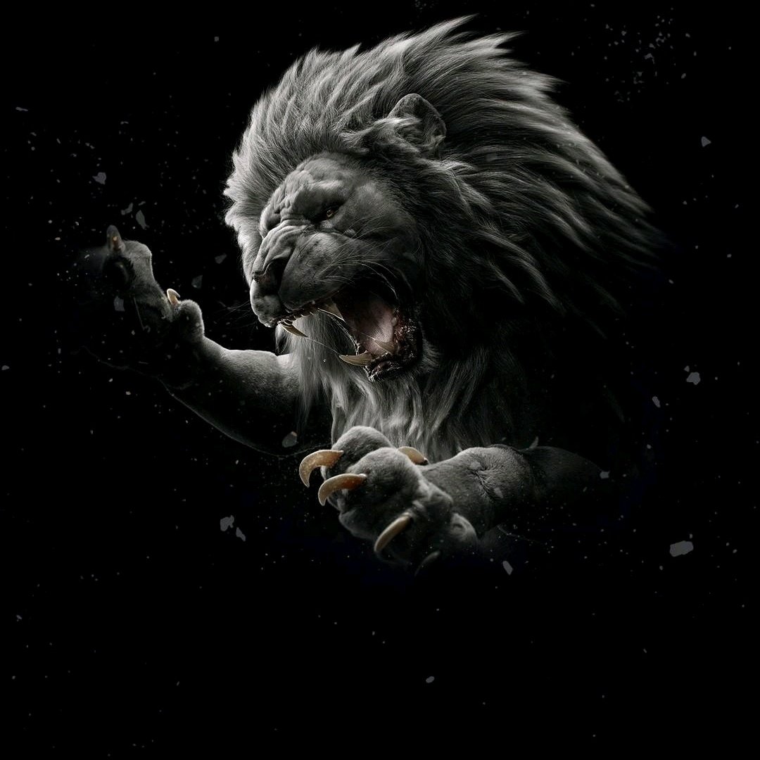 @🇺‌🇯‌🇱‌🇦 tweet media