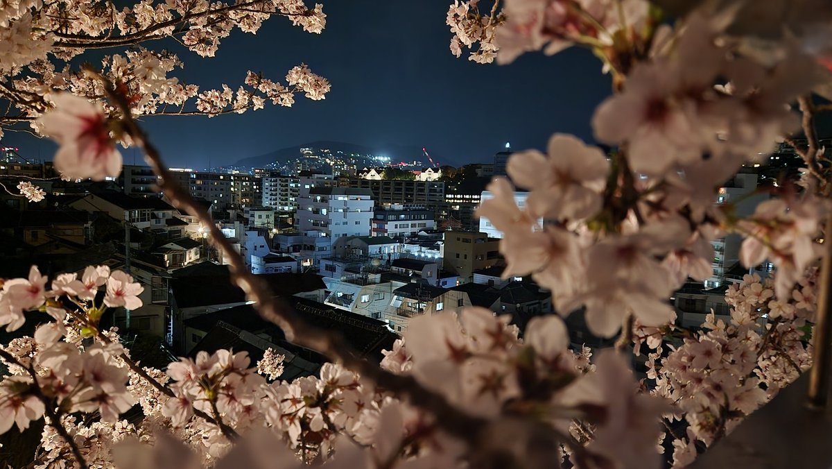 なのん tweet media